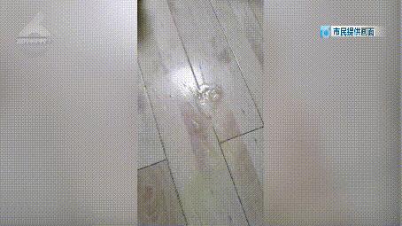 DƬ